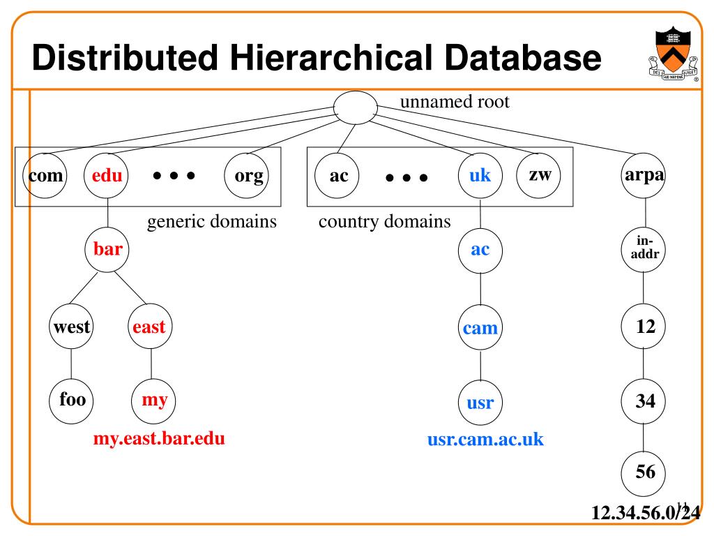 PPT Domain Name System (DNS) Reading Section 9.1 PowerPoint
