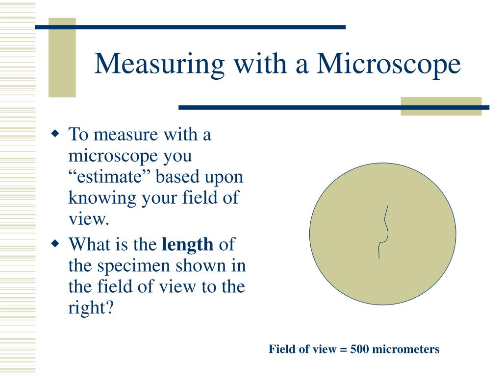 PPT Microscope Notes PowerPoint Presentation, free download ID27346