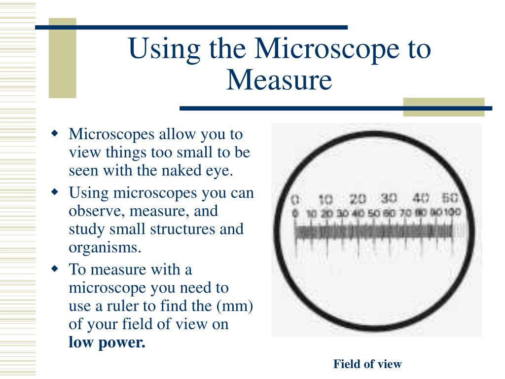 PPT Microscope Notes PowerPoint Presentation, free download ID27346