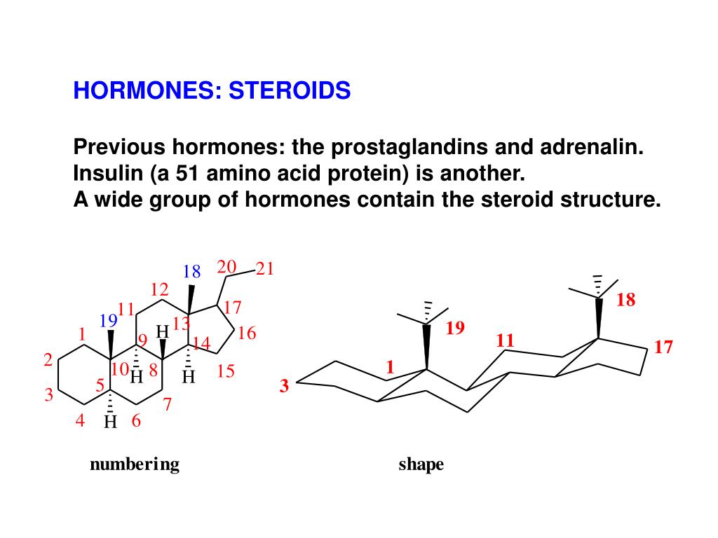 PPT HORMONES STEROIDS Previous hormones the prostaglandins and