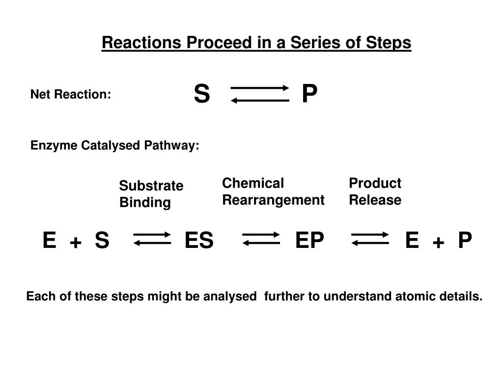 PPT Lecture 12 Enzyme Catalysis PowerPoint Presentation, free