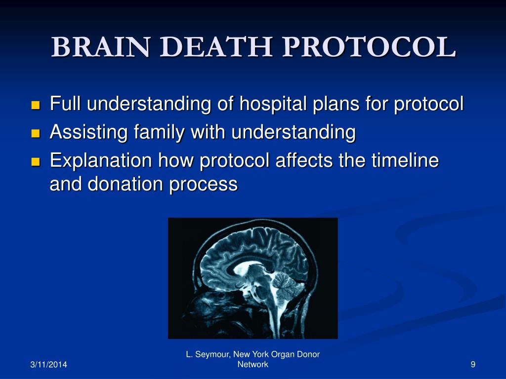 PPT The Organ Donation Process PowerPoint Presentation, free download