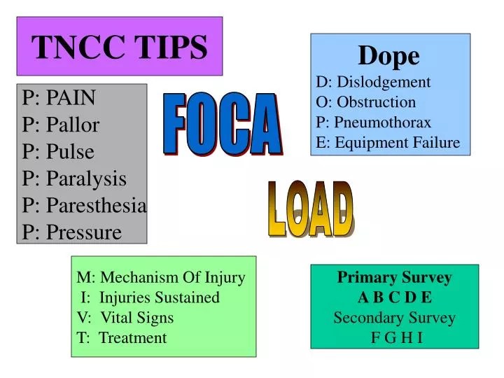 PPT TNCC TIPS PowerPoint Presentation, free download ID274971