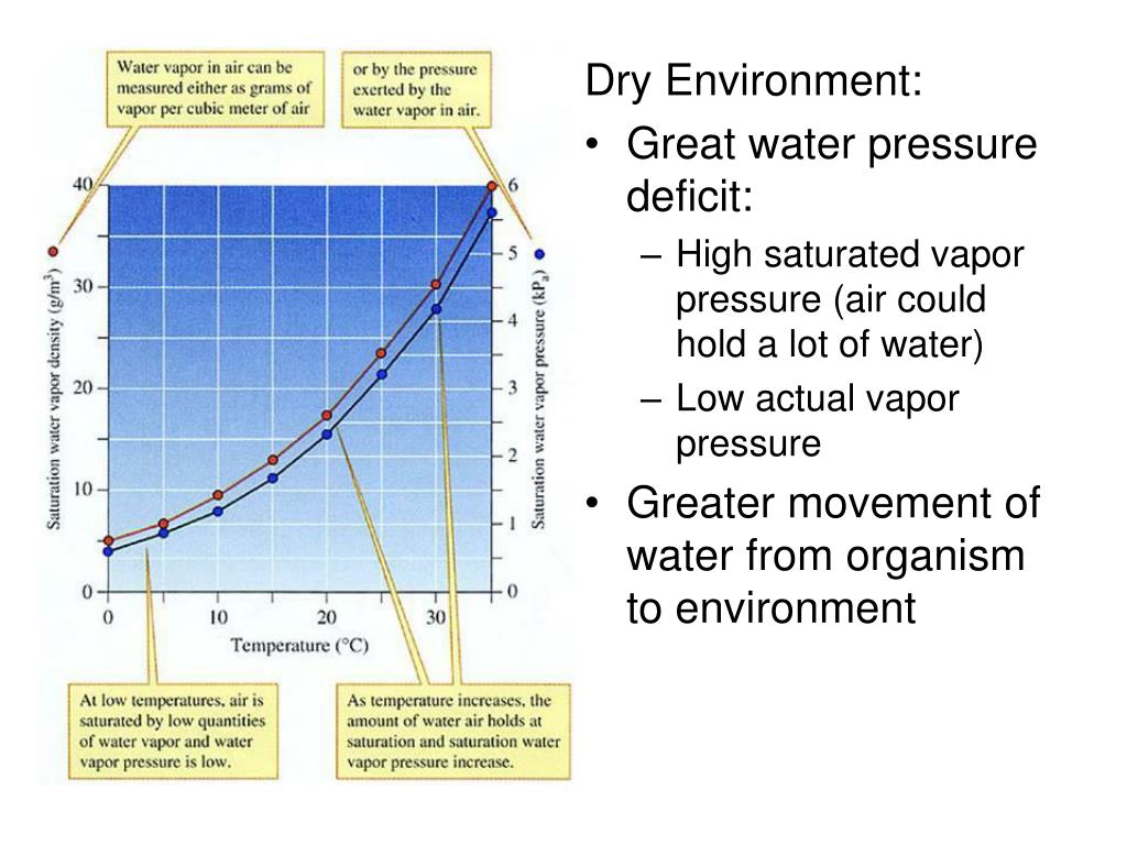 PPT Water Relationships PowerPoint Presentation, free download ID27521
