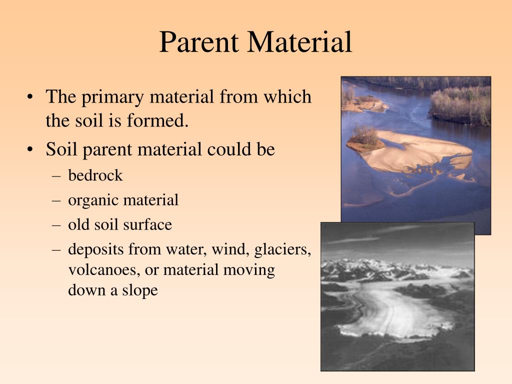 PPT Formation, Chemistry, and Biology of Wetland Soils PowerPoint