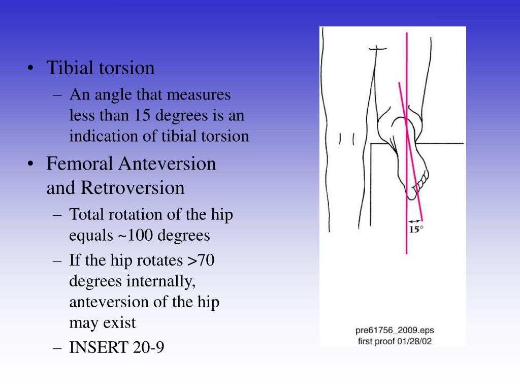 PPT Chapter 20 The Knee and Related Structures PowerPoint