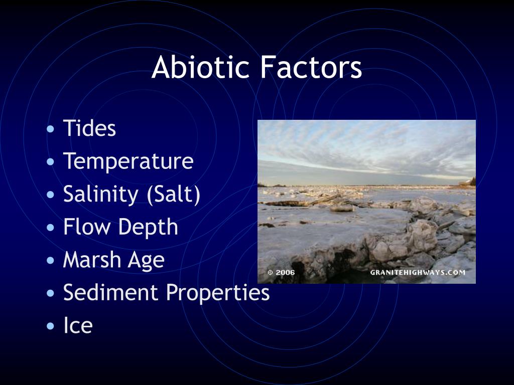 PPT Salt Marshes and Estuaries PowerPoint Presentation, free download