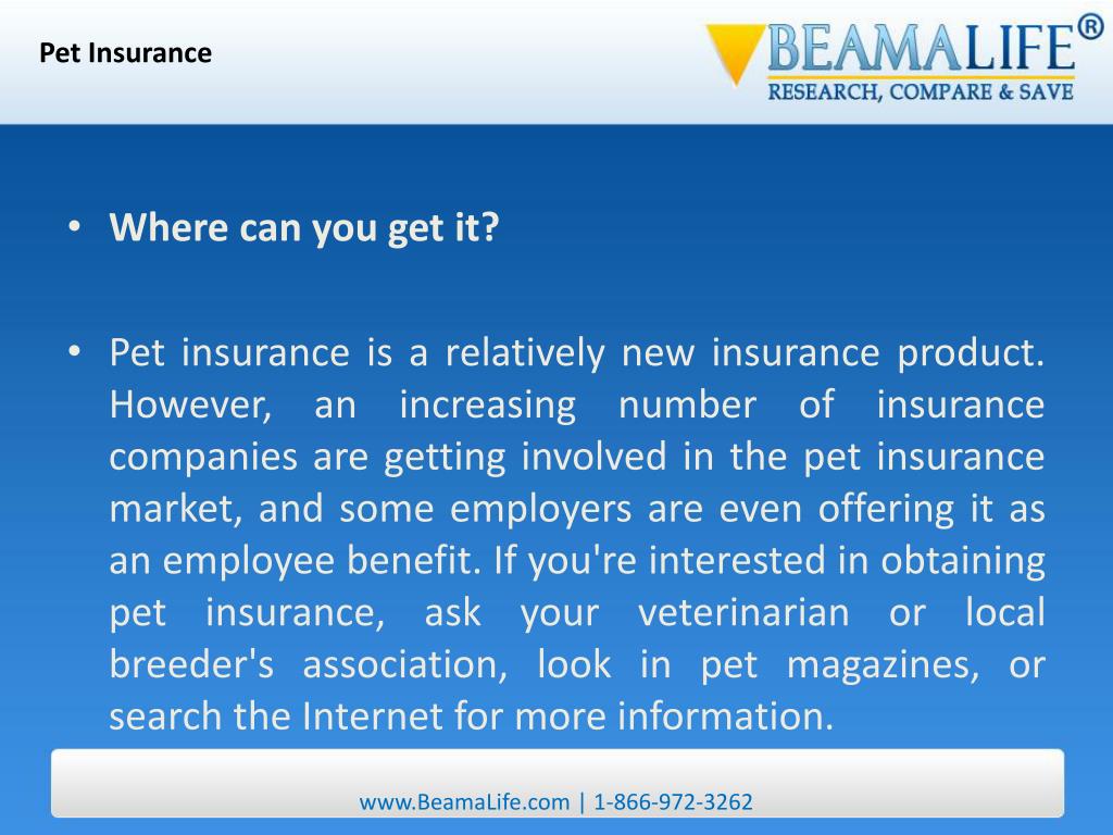 PPT Pet Insurance PowerPoint Presentation, free download ID27949