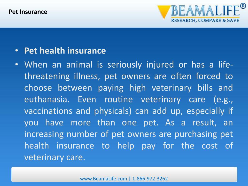 Standard Insurance Pet Health at Deborah Gomez blog