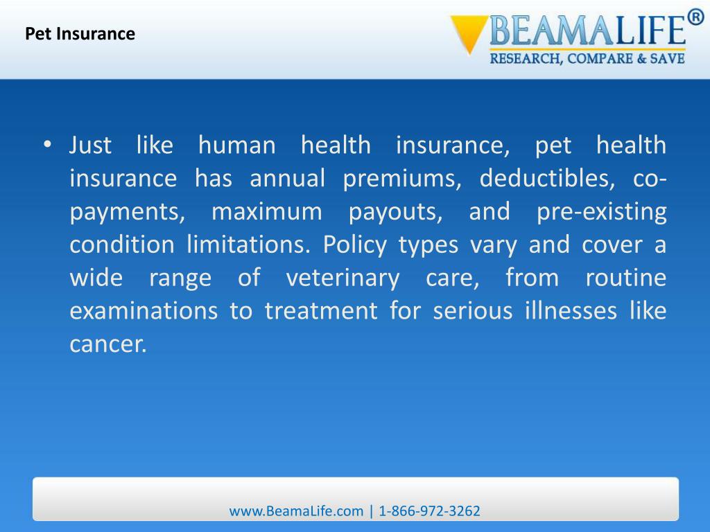 PPT Pet Insurance PowerPoint Presentation, free download ID27949