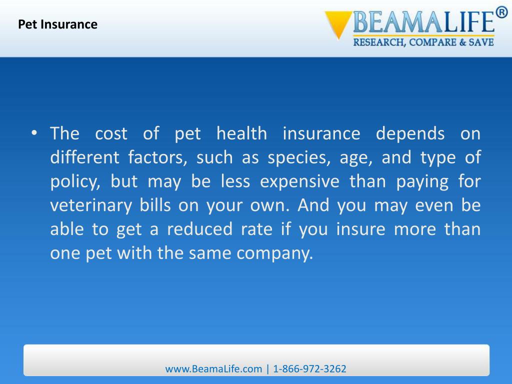 PPT Pet Insurance PowerPoint Presentation, free download ID27949