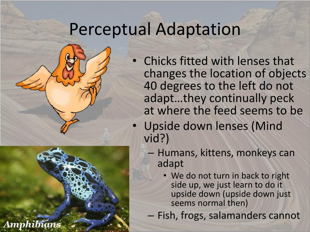 PPT Journal Day PowerPoint Presentation, free download ID279748