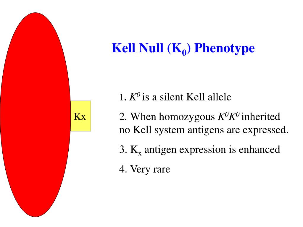 PPT CLS 3311 Advanced Clinical Immunohematology PowerPoint