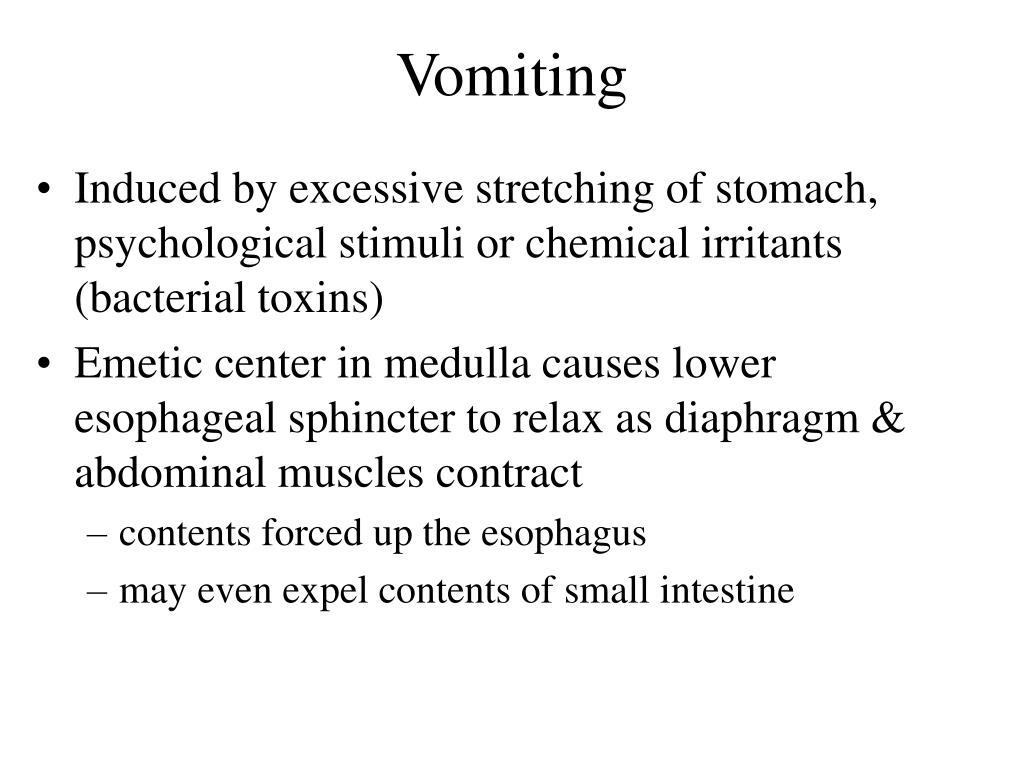 PPT Chapter 25 The Digestive System PowerPoint Presentation, free