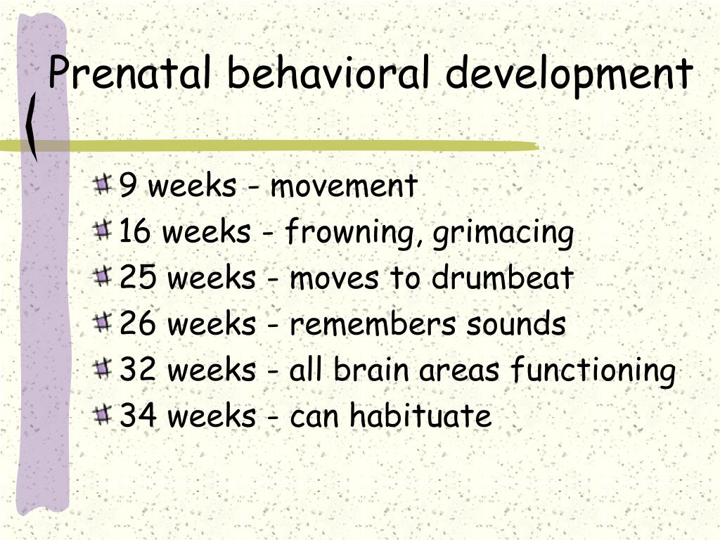 PPT Psychology of Infancy Defining development, prenatal development