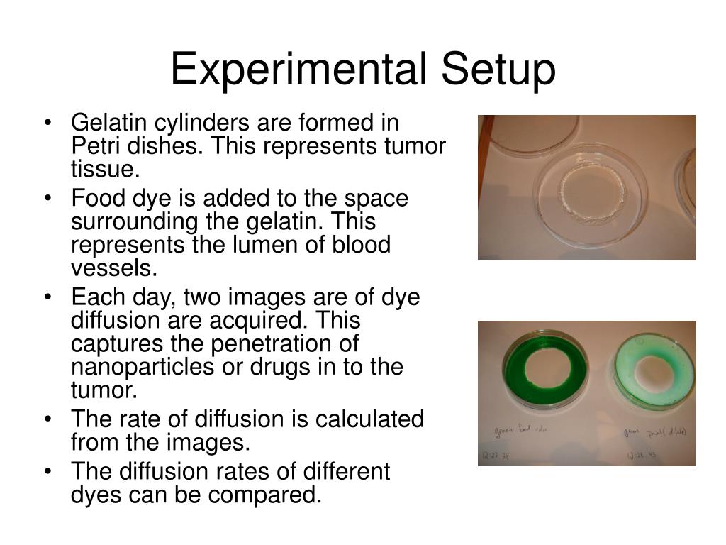 PPT Gelatin Diffusion Experiment PowerPoint Presentation, free