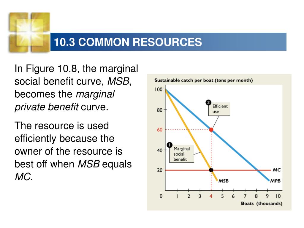 PPT Public Goods and Common Resources PowerPoint