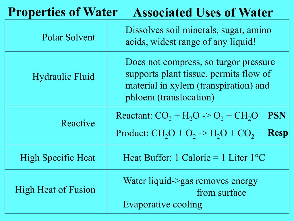 PPT Water PowerPoint Presentation, free download ID281457