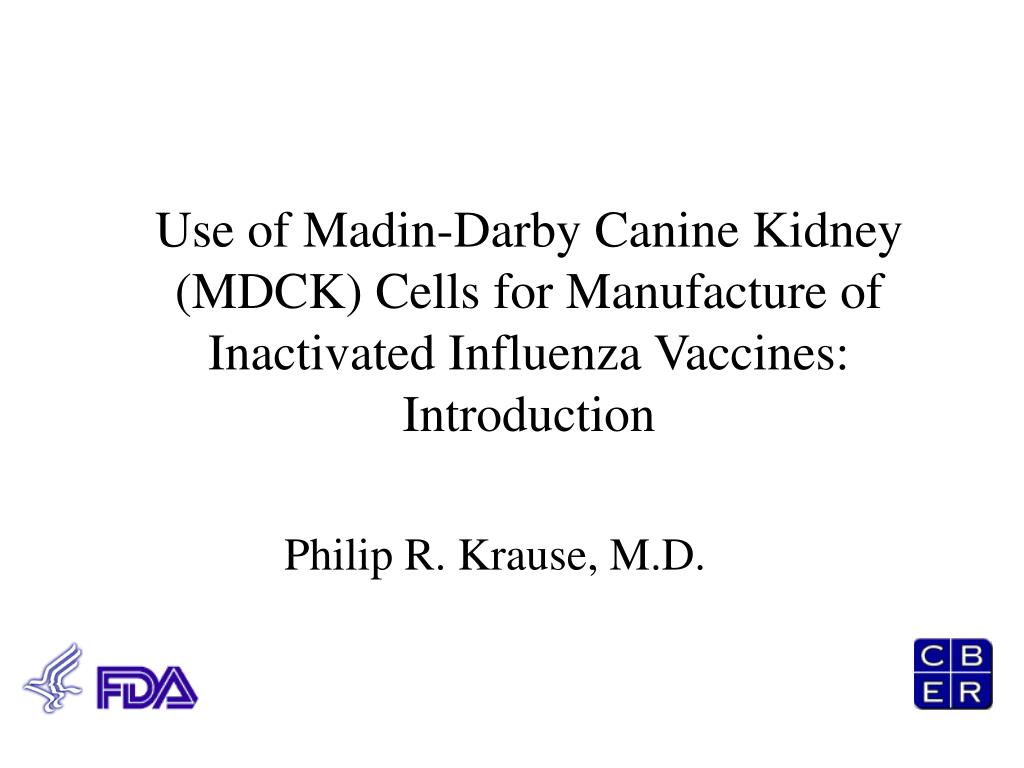 PPT Use of MadinDarby Canine Kidney (MDCK) Cells for