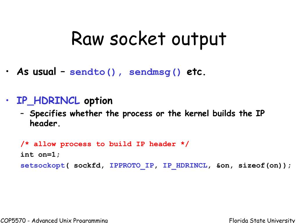 PPT Raw Sockets Datalink Access PowerPoint Presentation, free