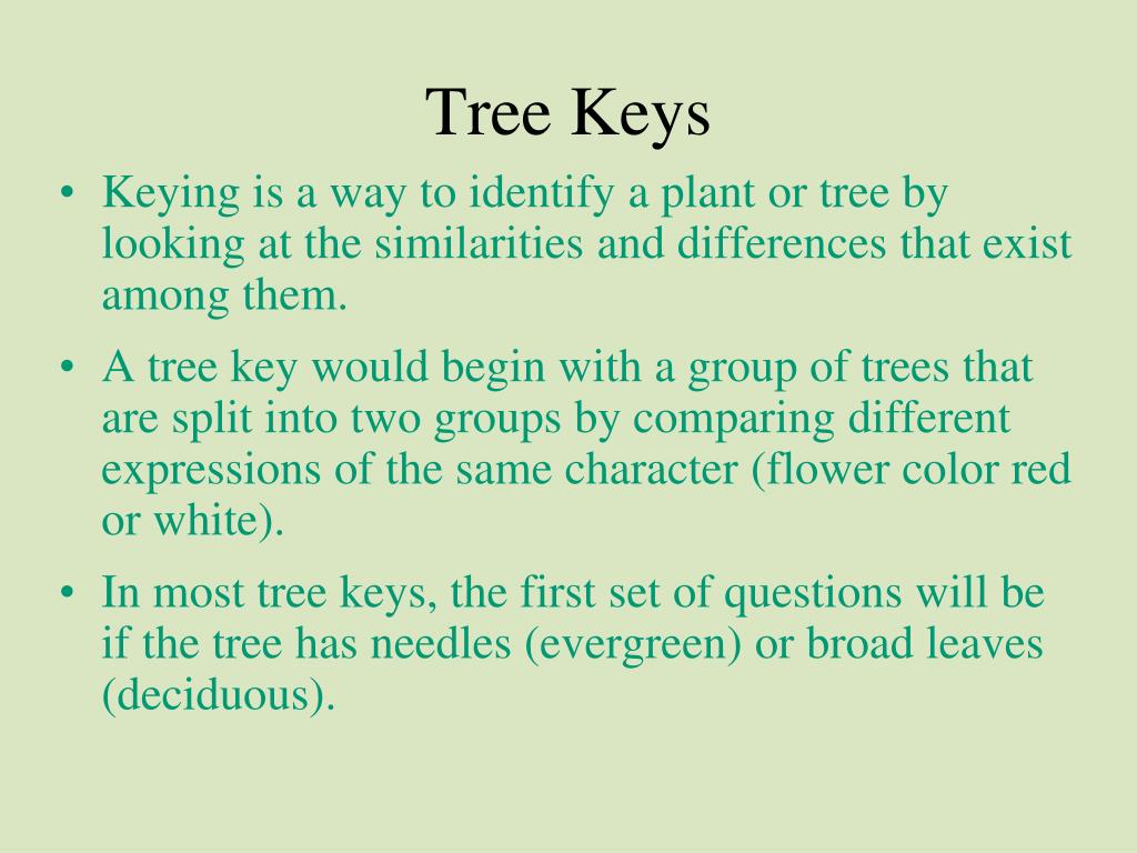 PPT Science Olympiad Forestry Training PowerPoint Presentation, free