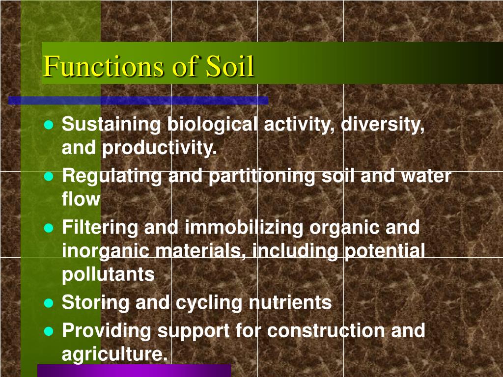 PPT Soil Quality Test Kit PowerPoint Presentation, free download ID