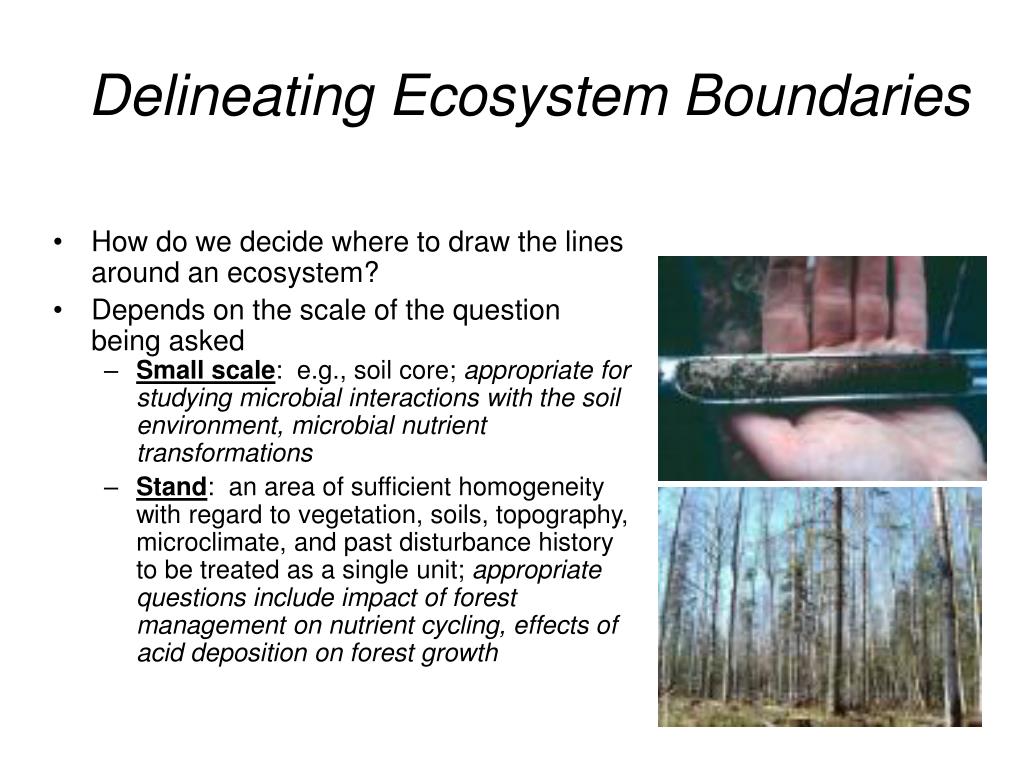 PPT Ecosystem Ecology Case studies on the Colorado Plateau FOR 479
