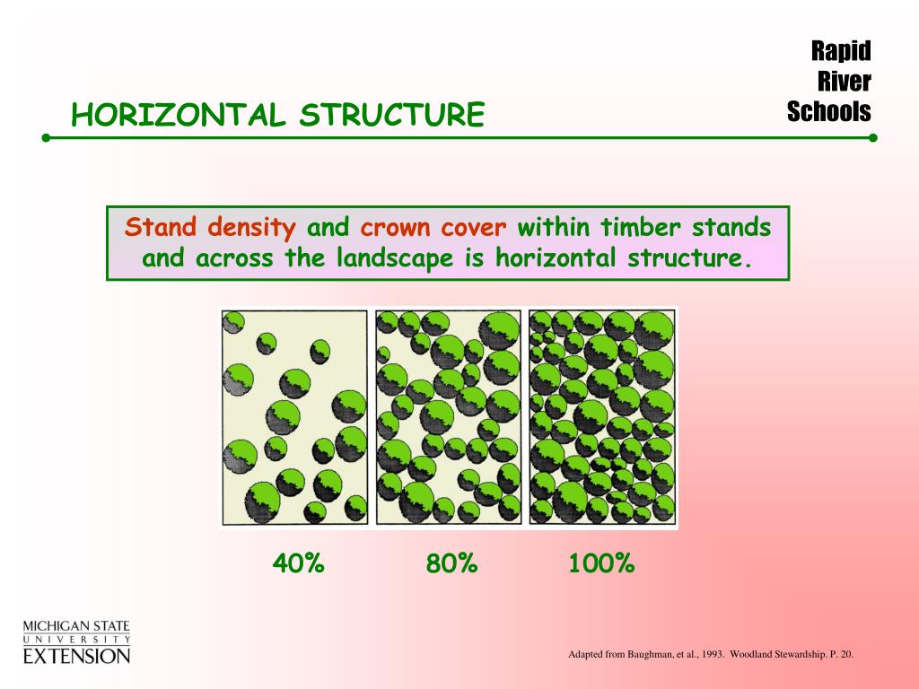 PPT FOREST ECOLOGY PowerPoint Presentation, free download ID294584
