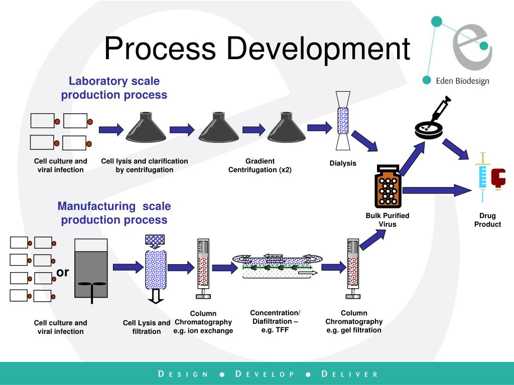 PPT Cell Therapy A Manufacturing Viewpoint PowerPoint Presentation