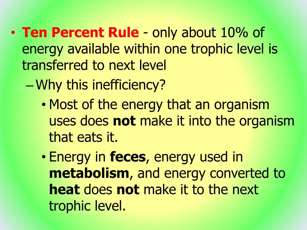 PPT ECOLOGY PowerPoint Presentation, free download ID295061