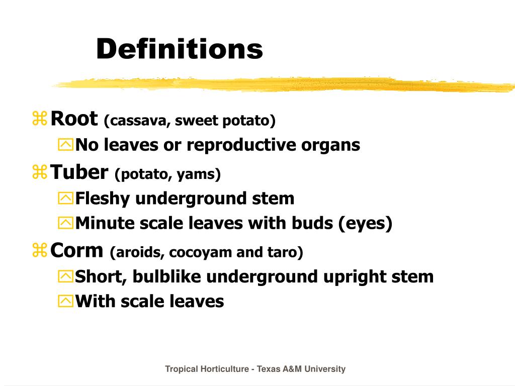 PPT Root and Tuber Crops in the Tropics PowerPoint Presentation, free
