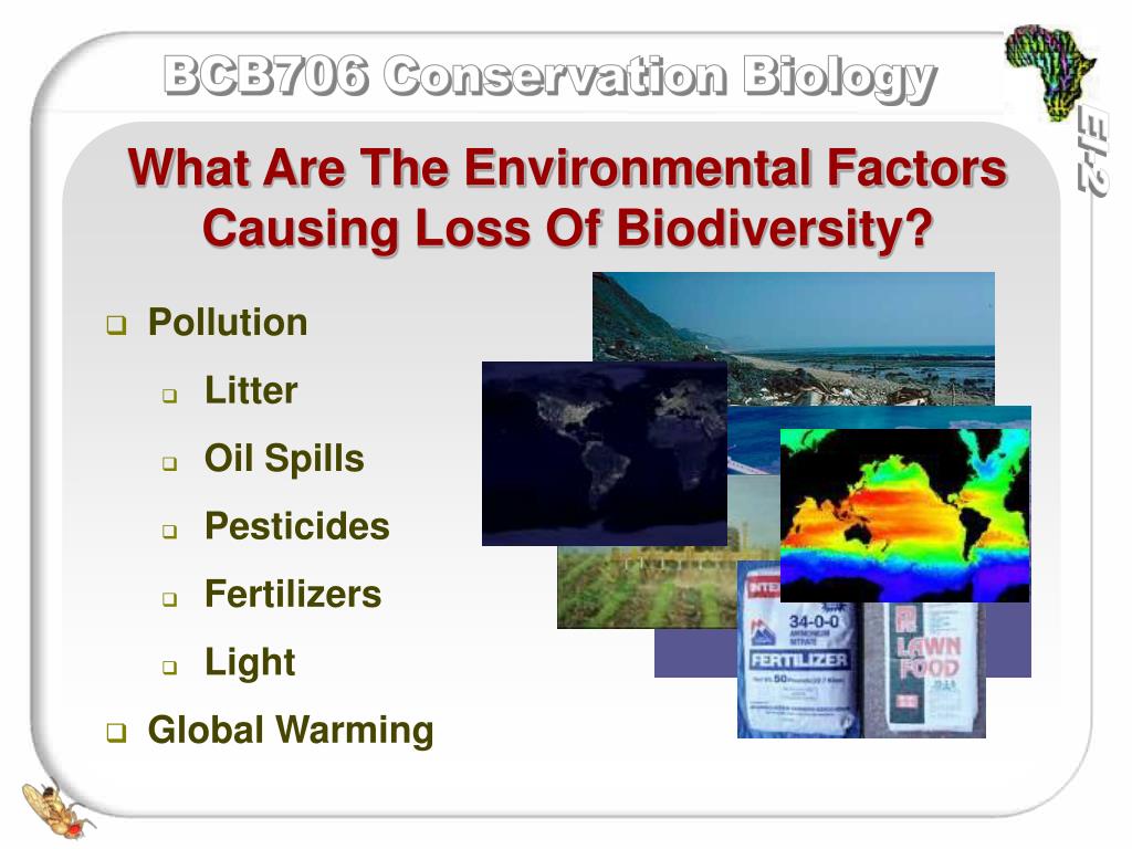 PPT Threats to biological diversity 4 Environmental Factors