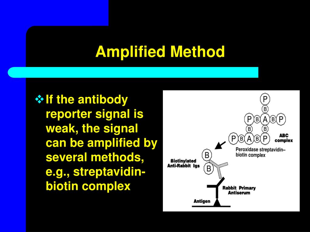 PPT Advances in Bioscience Education Summer PowerPoint