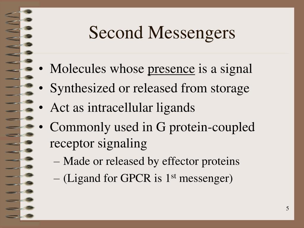 PPT - Second Messengers and Signal Transduction PowerPoint Presentation