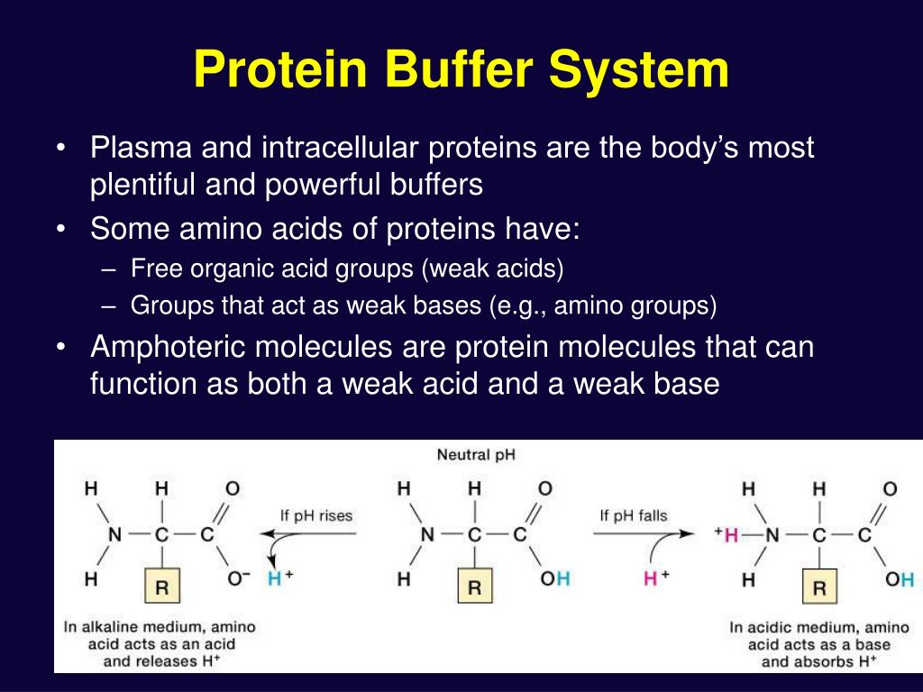 PPT Fluid, Electrolyte, and AcidBase Balance PowerPoint Presentation