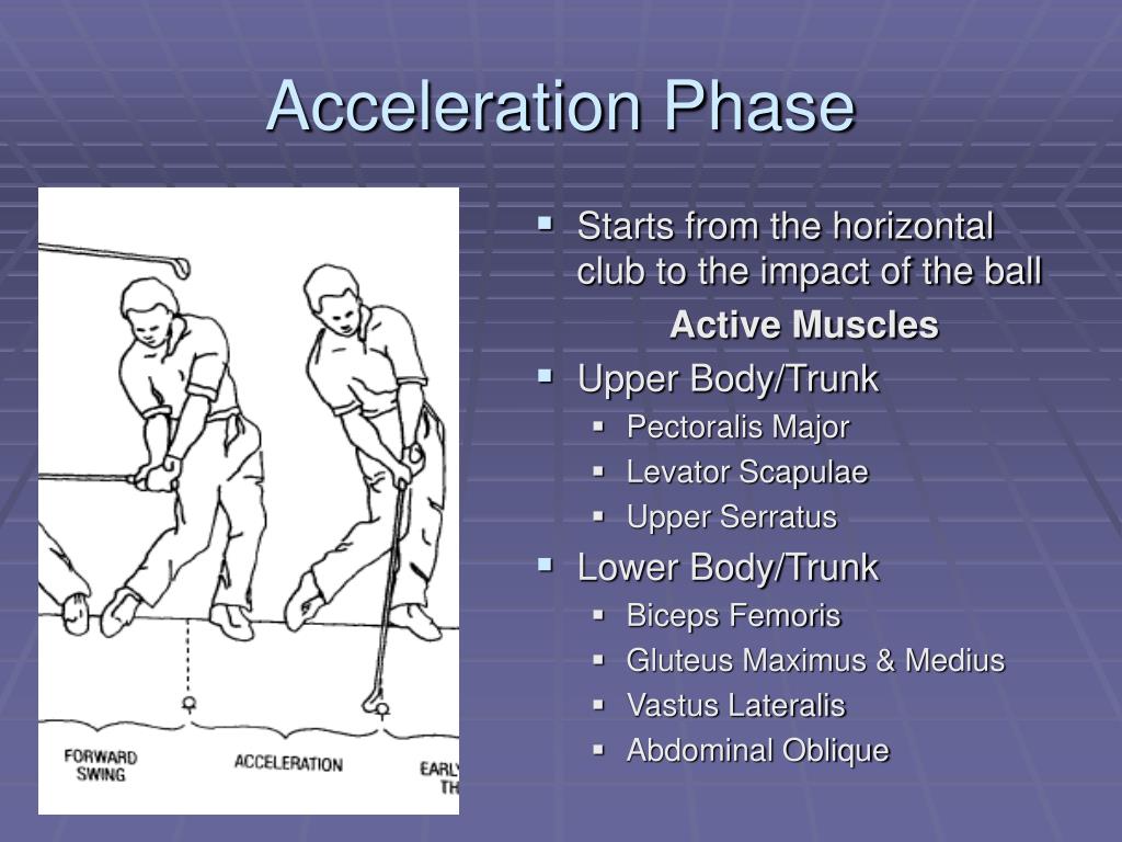 PPT Biomechanics of the Golf Swing PowerPoint Presentation, free