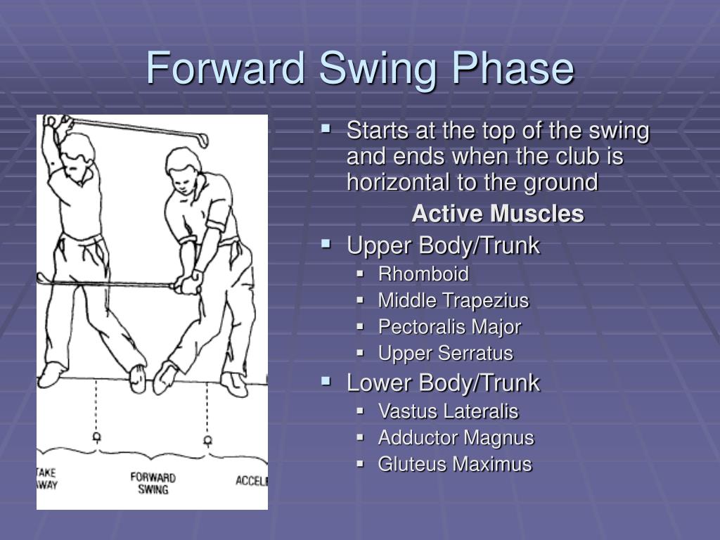 PPT Biomechanics of the Golf Swing PowerPoint Presentation, free