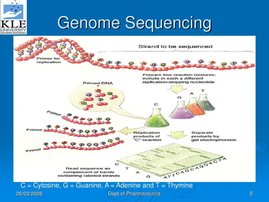 PPT Genomics & Proteomics Based Drug DISCOVERY PowerPoint
