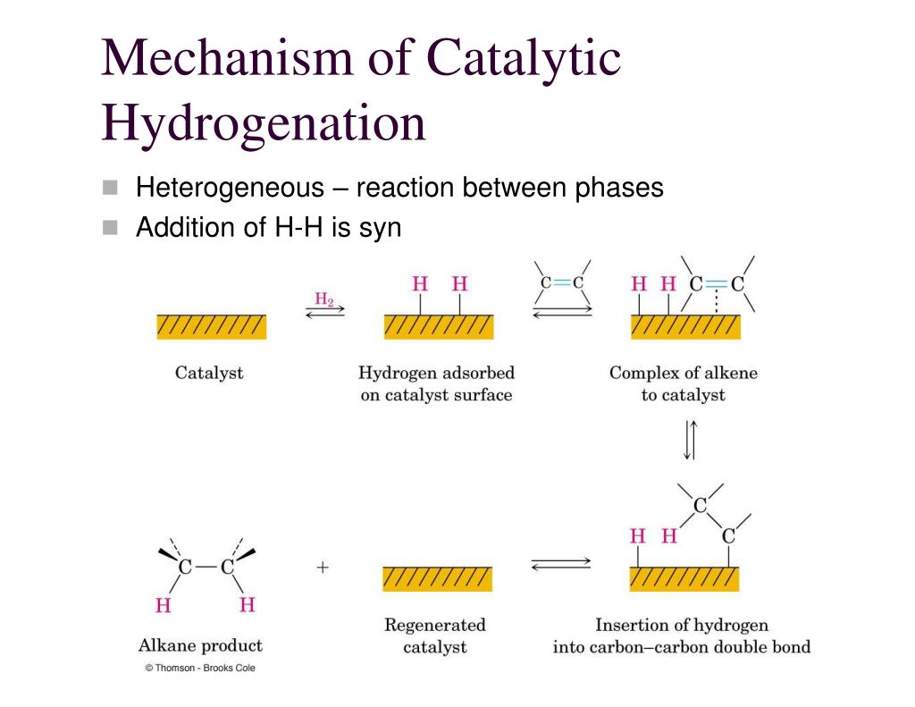 PPT 7. Alkenes Reactions and Synthesis PowerPoint Presentation, free