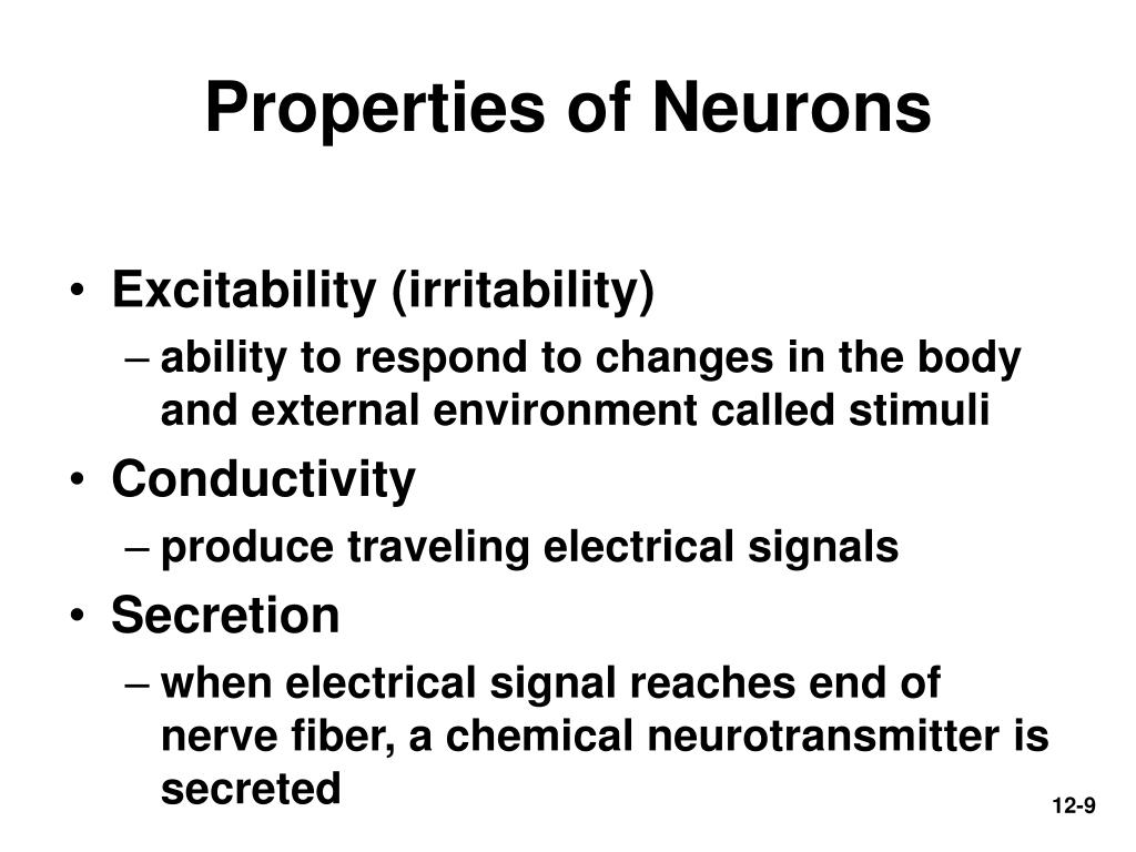 PPT Chap 12Nervous Tissue PowerPoint Presentation, free download