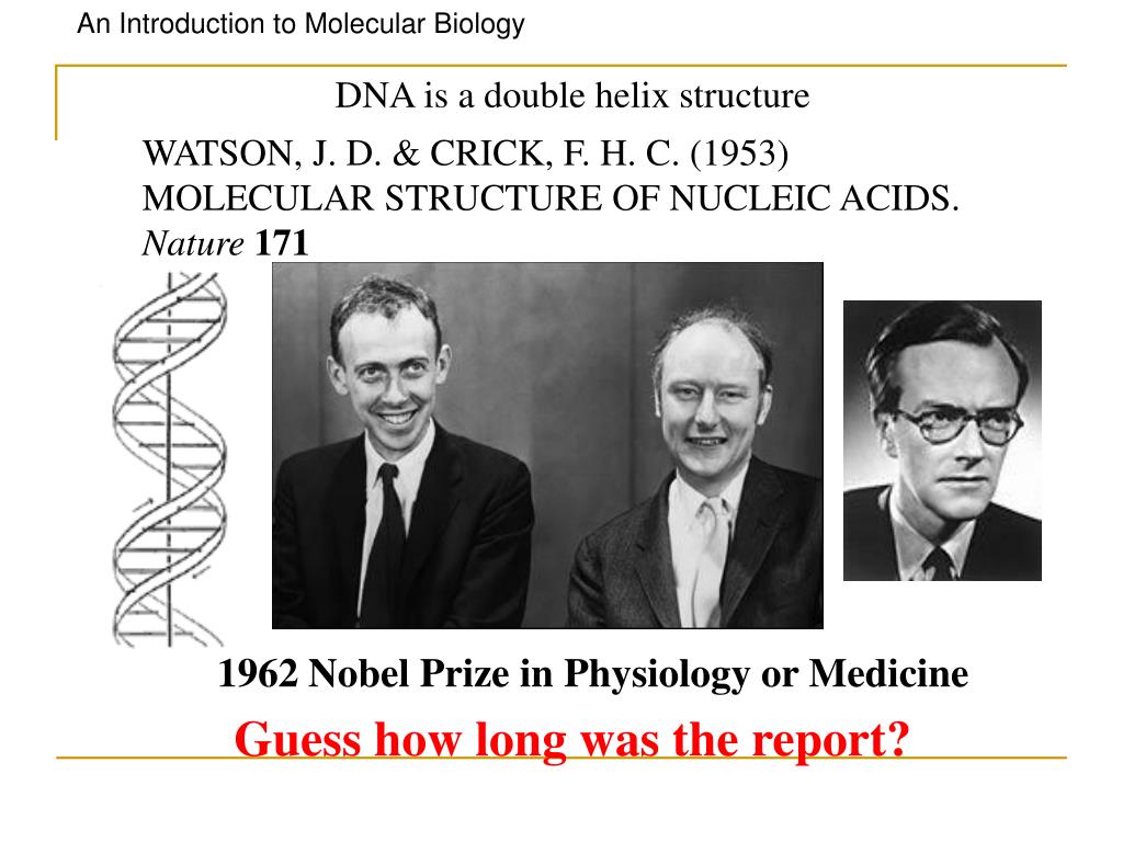 PPT Outline PowerPoint Presentation ID29937