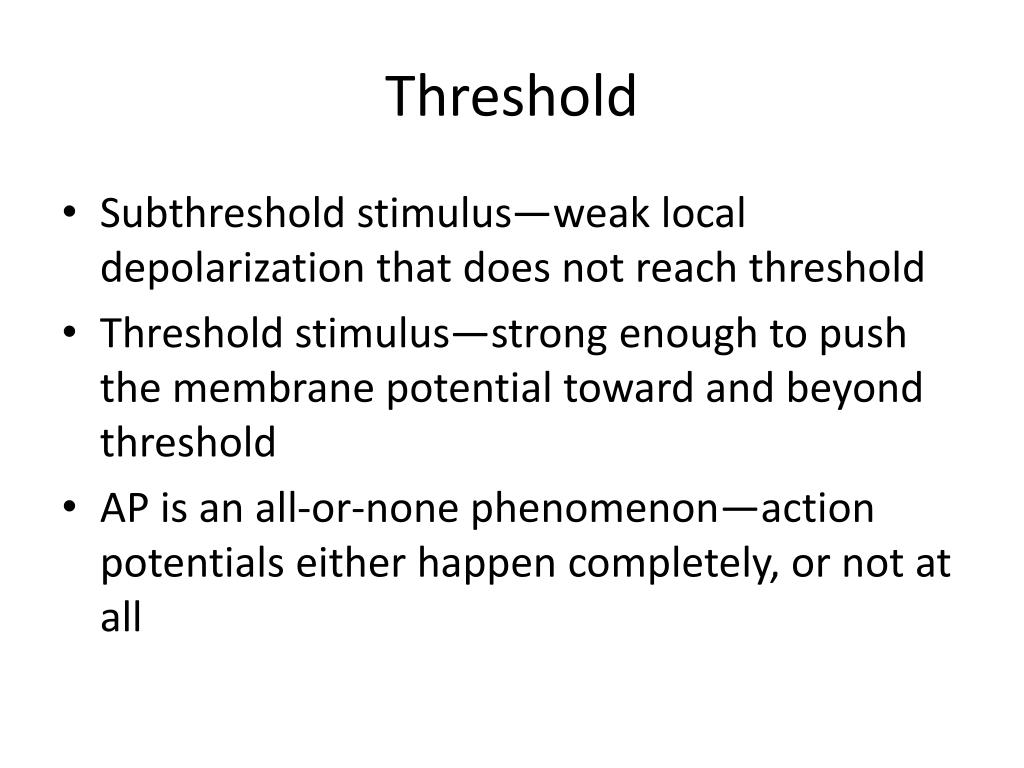 PPT Electrophysiology of Muscle Skeletal & Cardiac excitation