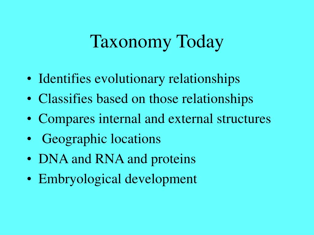 PPT Classification and Taxonomy PowerPoint Presentation ID300369