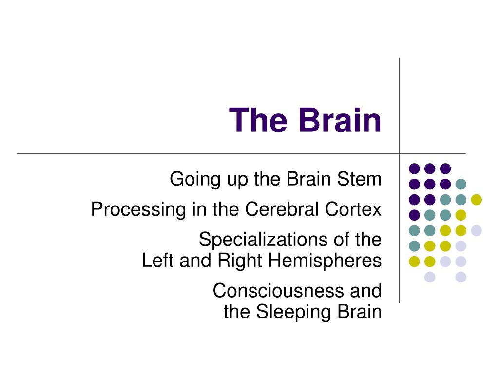 PPT Neuroscience PowerPoint Presentation, free download ID301357