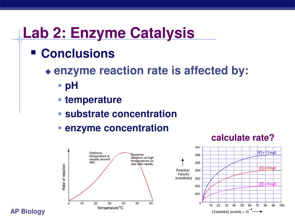 PPT AP Biology PowerPoint Presentation ID302778