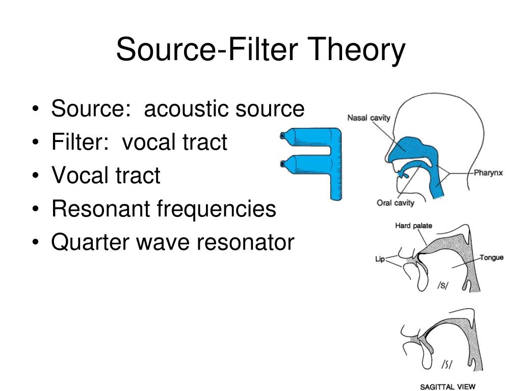 PPT Anatomy of Resonation and Articulation Chapter 6 PowerPoint