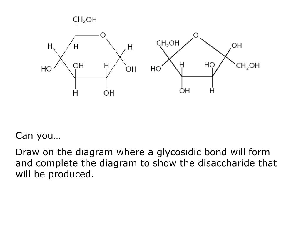PPT Monosaccharides PowerPoint Presentation, free download ID304049