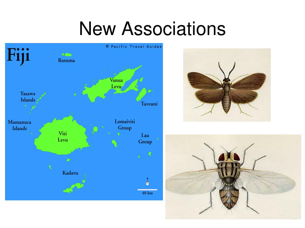 PPT Biological Control Strategies PowerPoint Presentation, free
