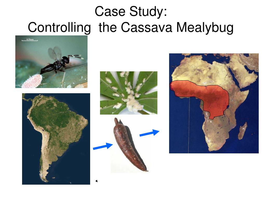 PPT Biological Control Strategies PowerPoint Presentation, free