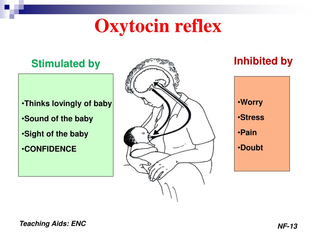 PPT Feeding of healthy newborn babies PowerPoint
